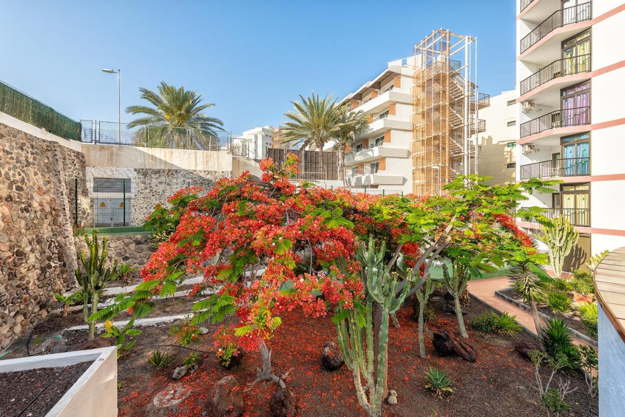 Pulpo Amarillo Apartment Плая дел Инглес Екстериор снимка